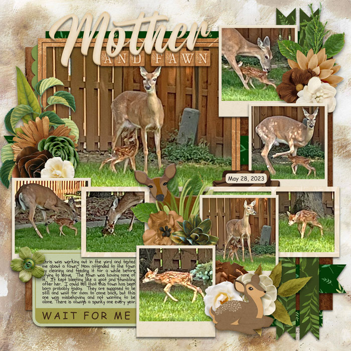 Mother and Fawn