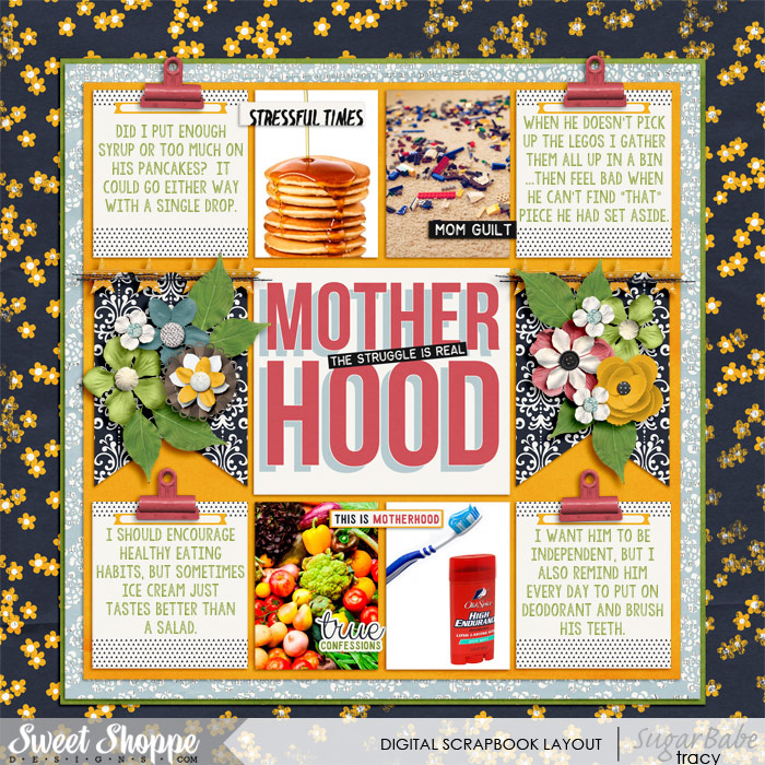 Motherhood Struggle