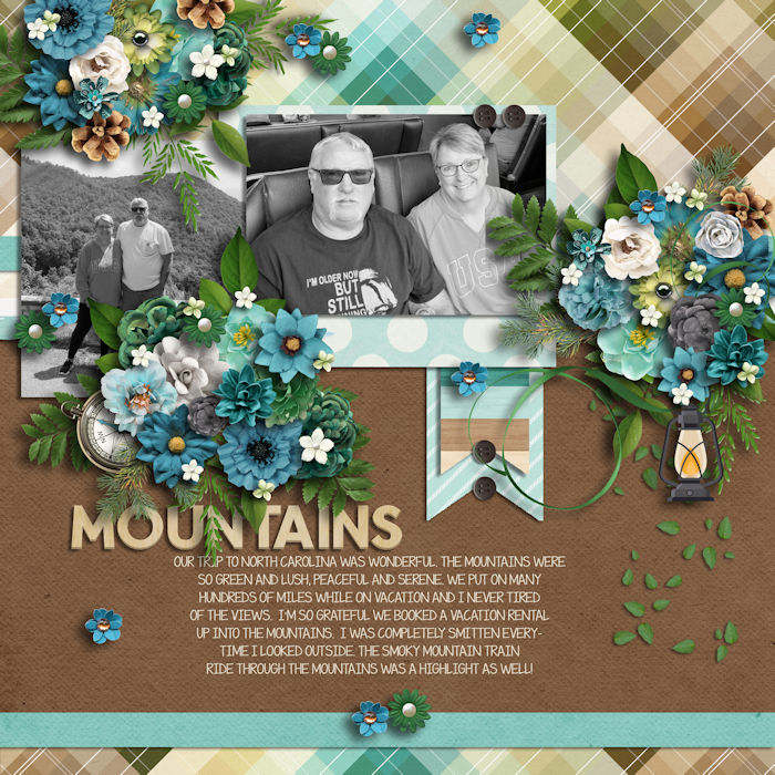 Mountain Vacay