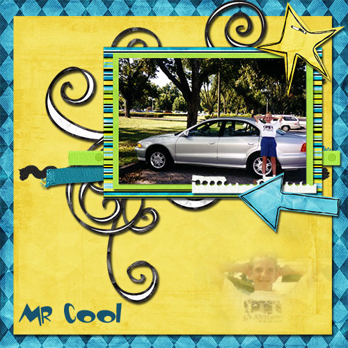 Mr Cool