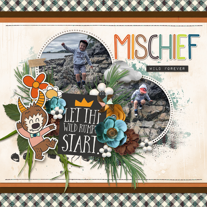 Mr. Mischief