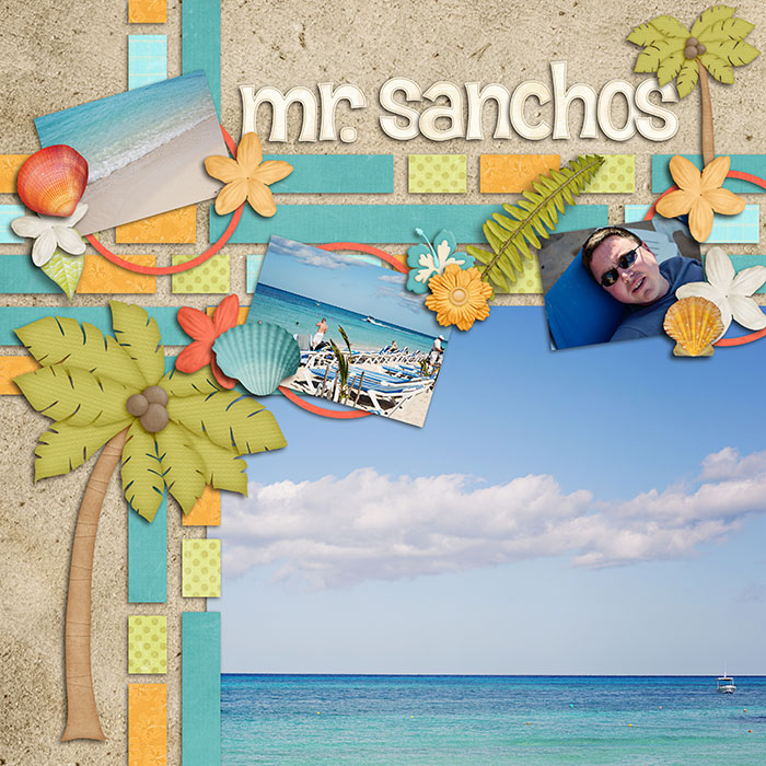 Mr. Sanchos