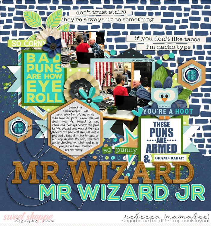 Mr Wizard and Mr Wizard Jr