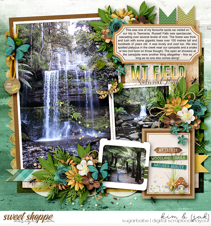 Mt Field National Park