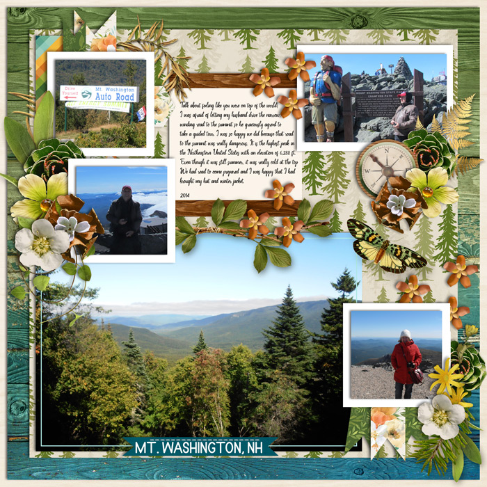 Mt. Washington, NH