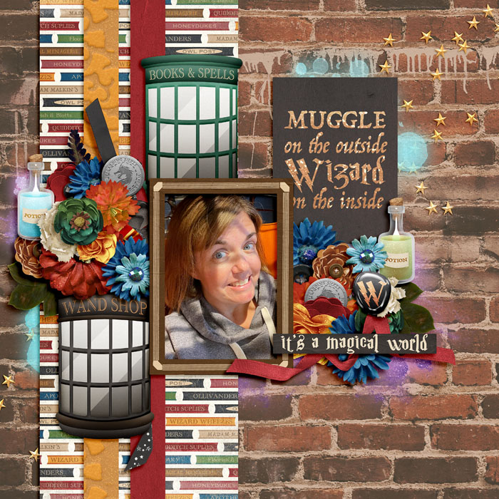 Muggle on the Outside