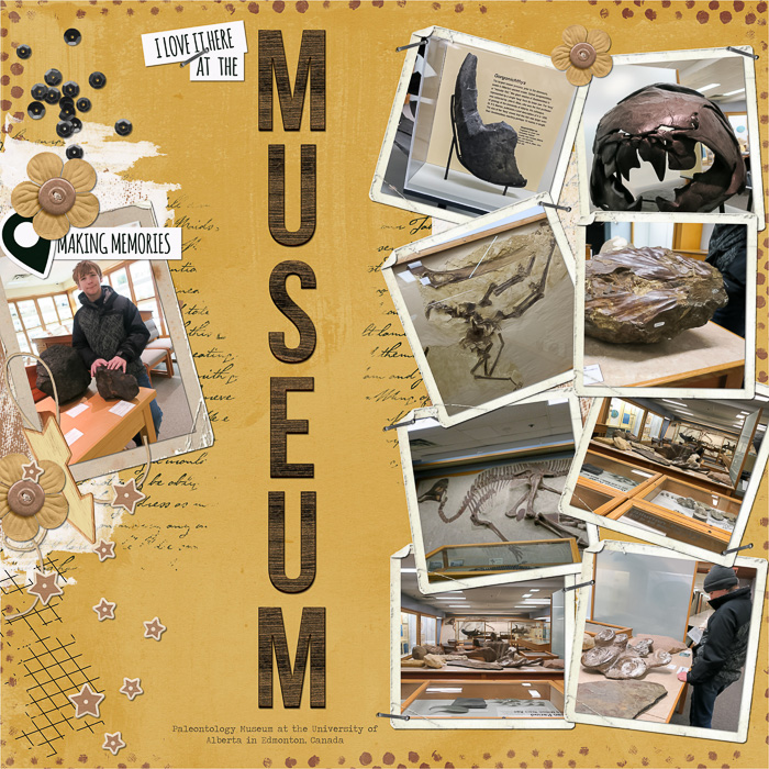 Museum Fun