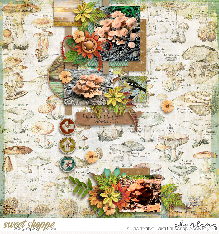 Mushroom Clusters