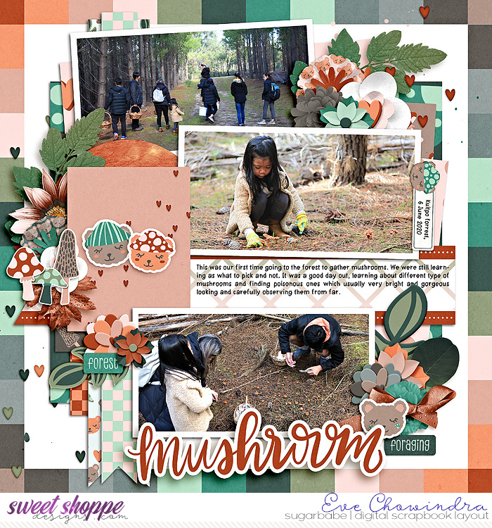 mushroom foraging
