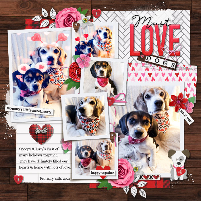Must Love Dogs