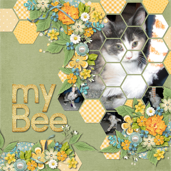 My Bee