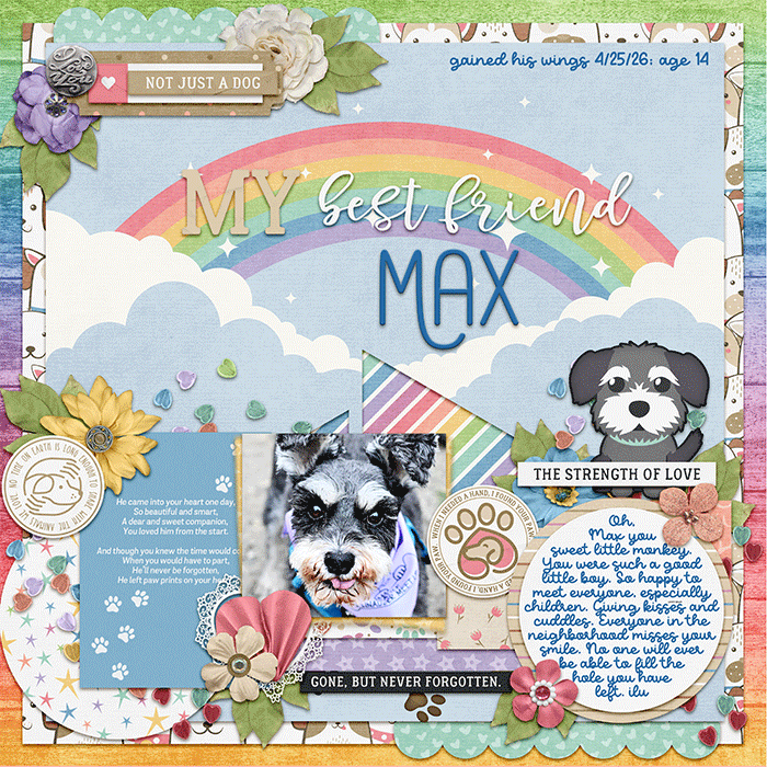 My Best Friend Max