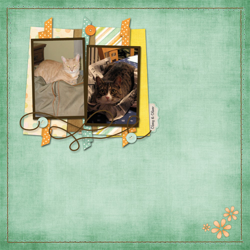 My Cats