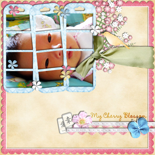 My Cherry Blossom