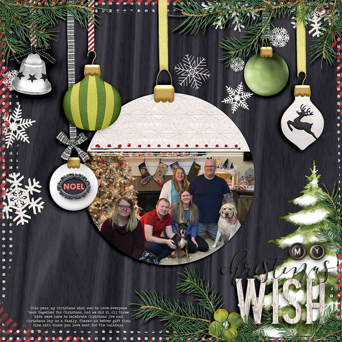 ~My Christmas Wish~