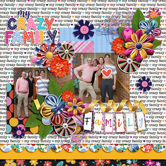 My Crazy Family