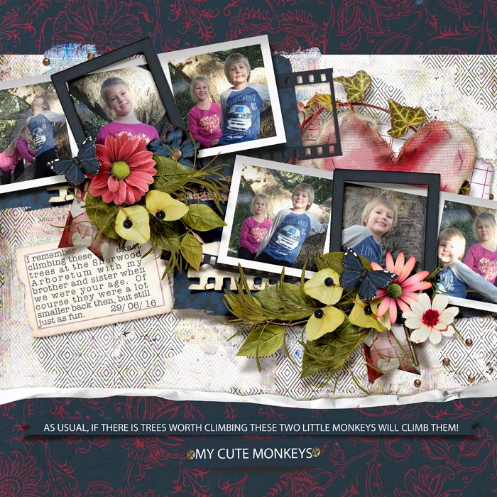 My Cute Monkeys