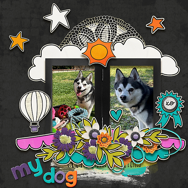 My dog