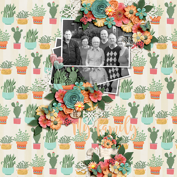 My Family