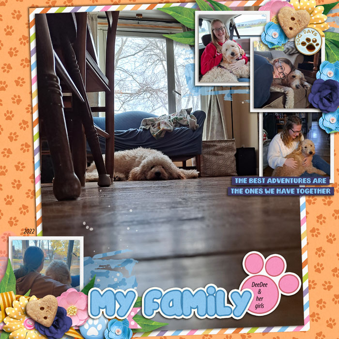 My Family