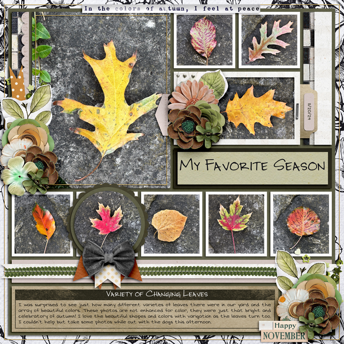 My Favorite Season