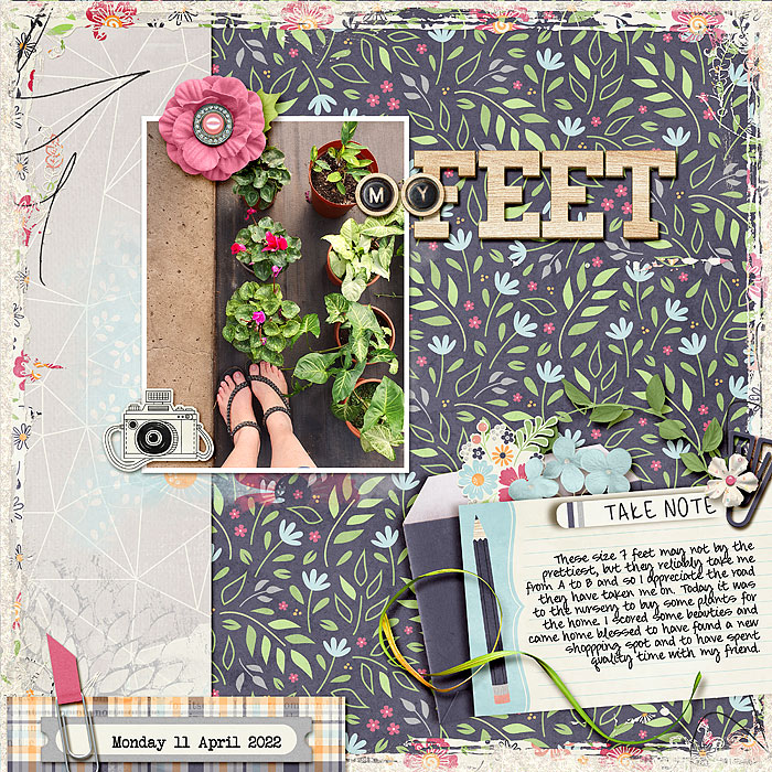 my feet