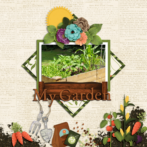 My Garden