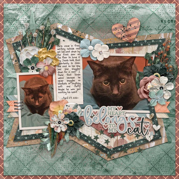 My Heart My Cat