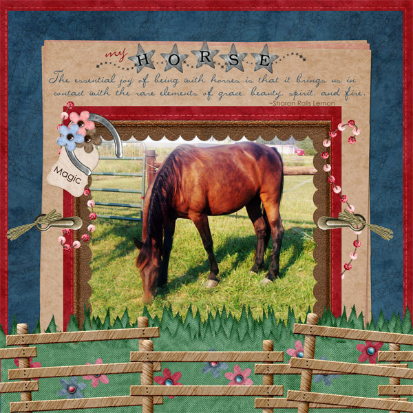 My Horse