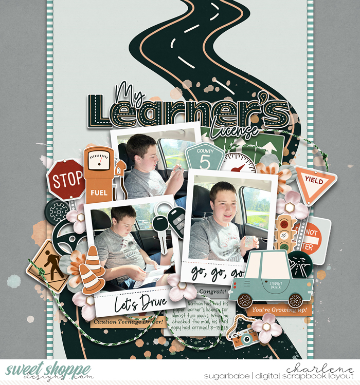 My Learner's License