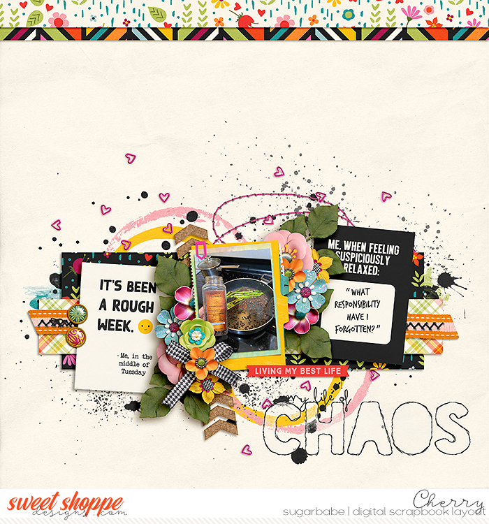 My Life Of Chaos