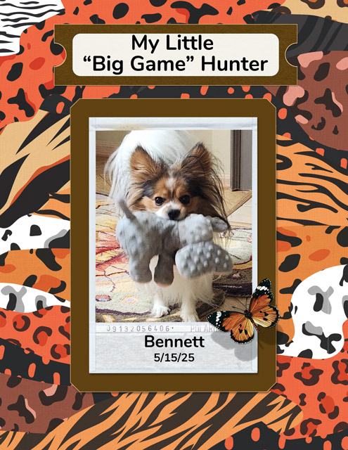 My Little "Big Game" Hunter