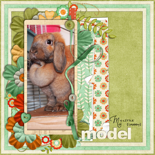 My Little Chubby Model