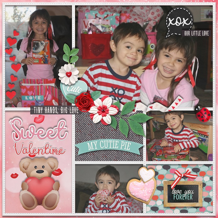 MY LITTLE LOVES