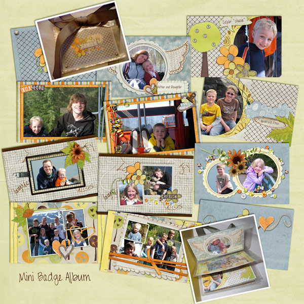 My Mini Badge Album