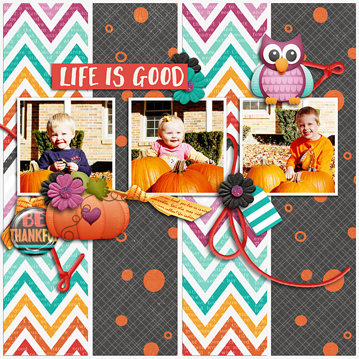 My Pumpkins