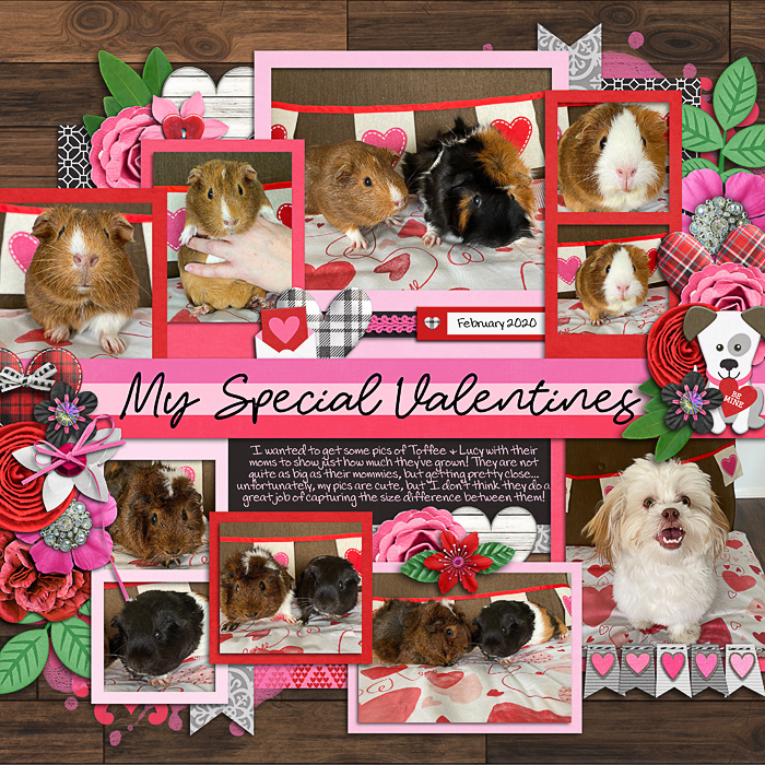 My special valentines