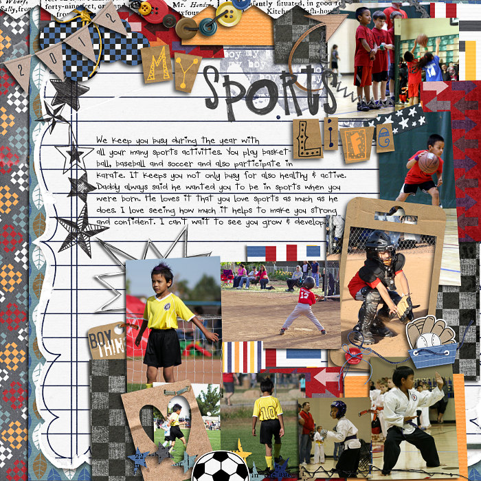 My Sports Life