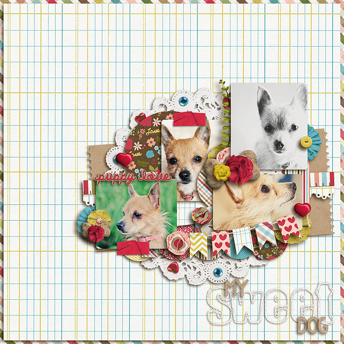 My Sweet Dog