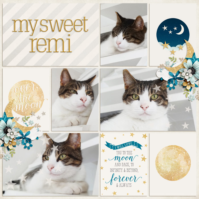 My sweet Remi
