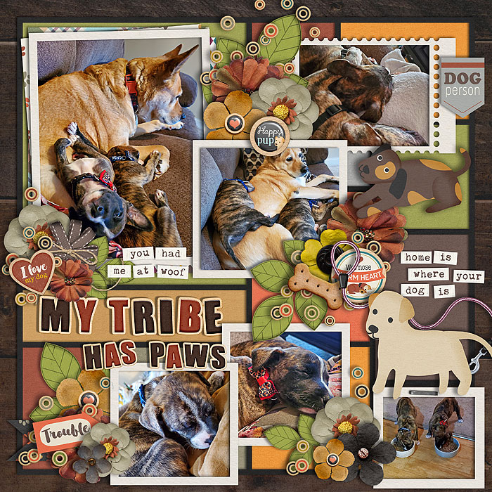 My Tribe Has Paws