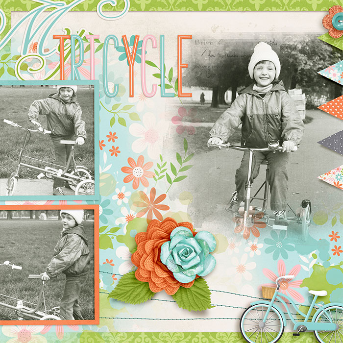 My tricycle