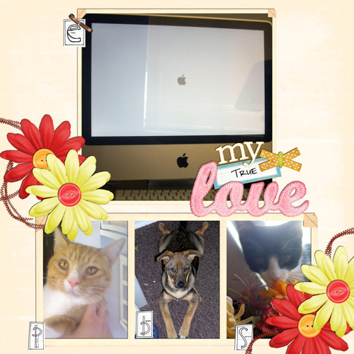 My true loves