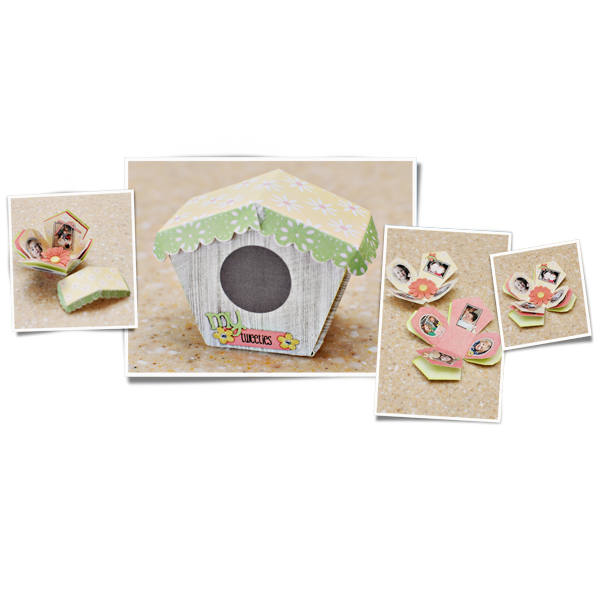 My Tweeties birdhouse explosion box