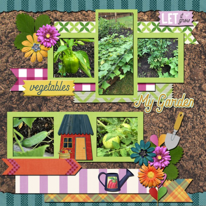 My Veggie Garden