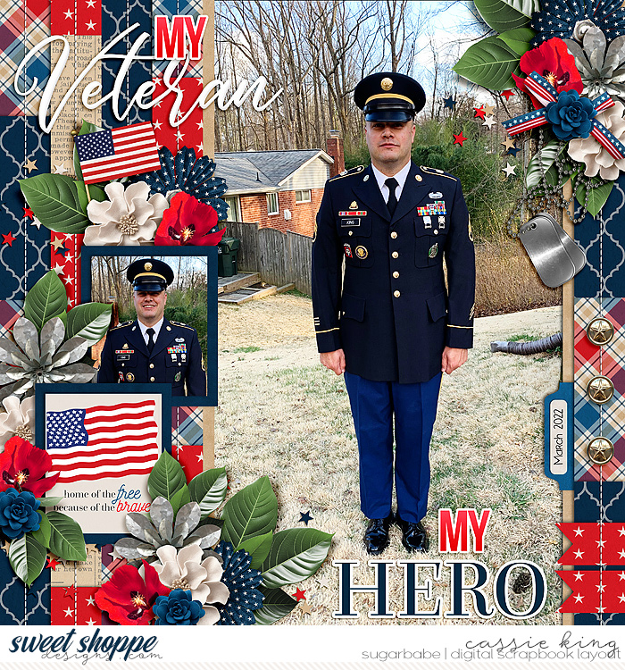 My Veteran, My Hero