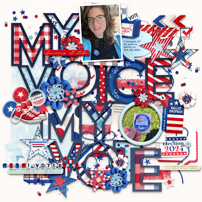 My Voice My Vote