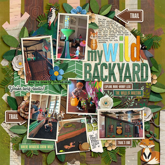 My Wild Backyard