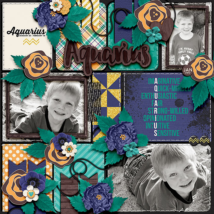 My Zodiac-Aquarius