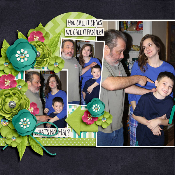 MyWacky Family